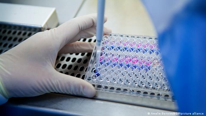 Tendremos la cura del cáncer antes del 2030: fabricantes de vacunas