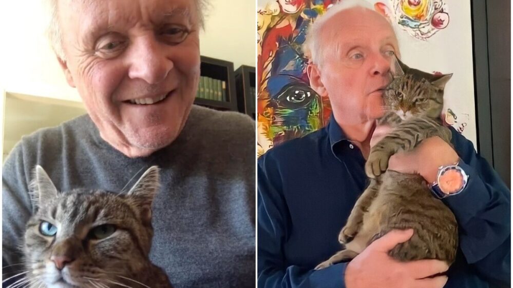 Fallece el gatito de Anthony Hopkins y le rinde homenaje con un emotivo video