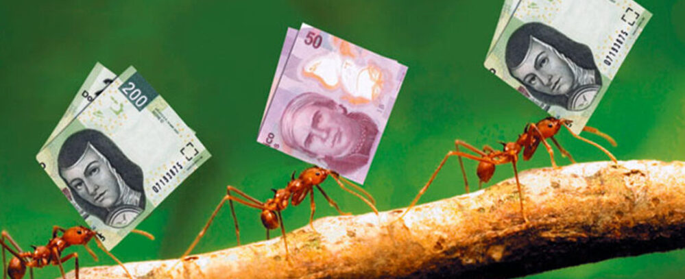 Cómo evitar los “gastos hormiga” y ahorrar hasta 32 mil pesos anuales