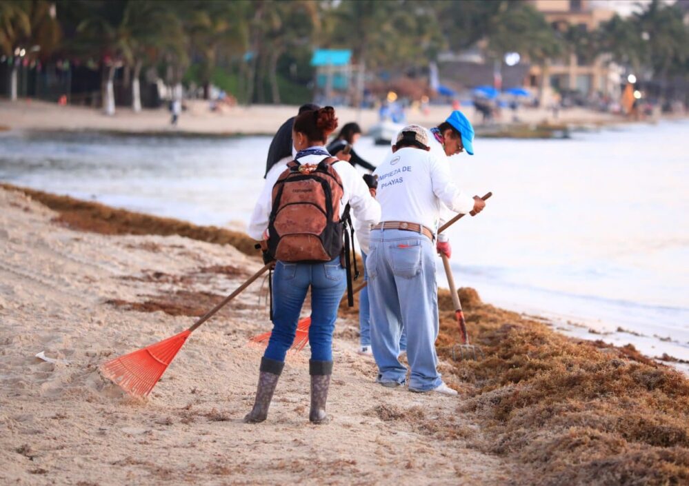 Limpieza de playas una prioridad del gobierno de Solidaridad