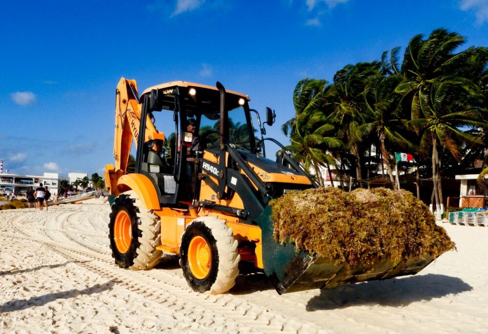 Quintana Roo: Gobierno de Solidaridad intensifica limpieza de playas