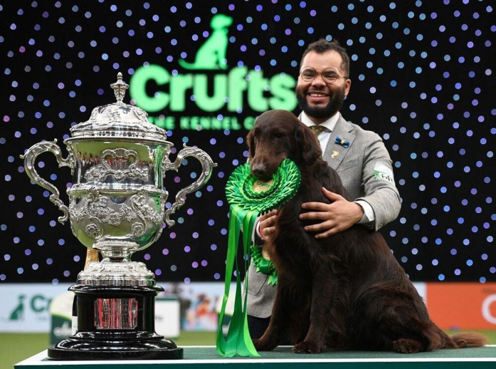 Crufts: 18 mil perros y sus dueños compiten por el codiciado título de Best in Show
