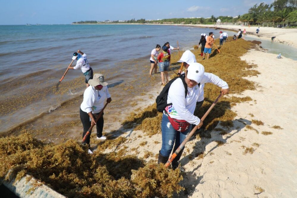 Playa del Carmen: Jornada de limpieza en Punta Esmeralda