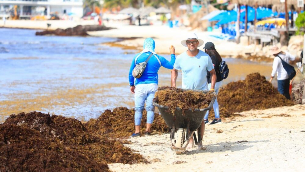 Playa del Carmen: refuerzan operativos de limpieza en playas