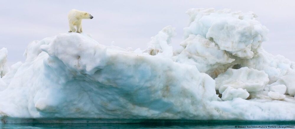 Cambio Climático: Ártico perdería todo su hielo marino en diez años