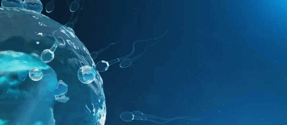 Tecnología: Microrobots captan espermatozoides para la inseminación