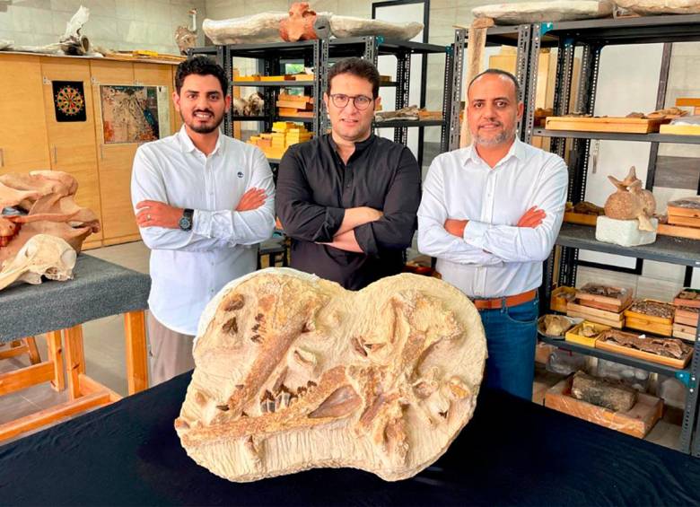 Arqueología: Descubren ballena de 41 millones de años en arenas egipcias