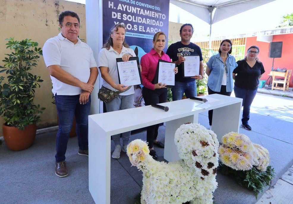 Cuidan a lomitos en Playa del Carmen, arranca campaña de esterilización gratuita