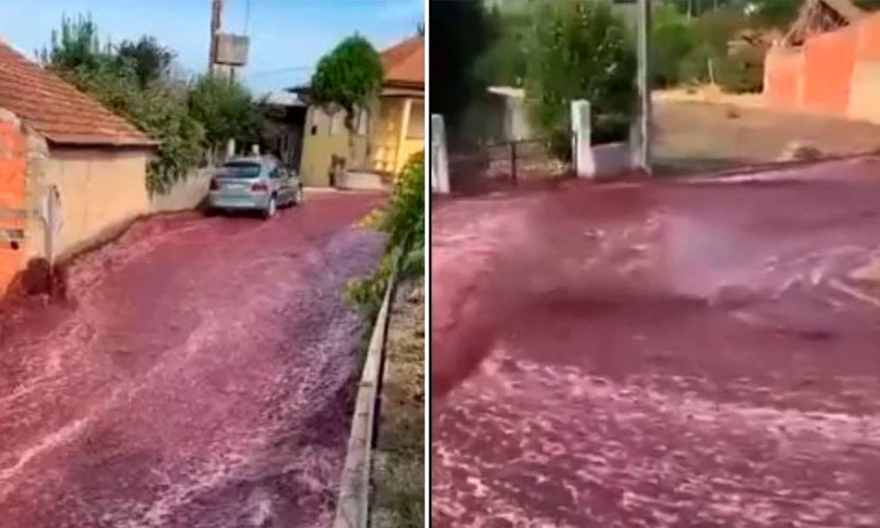 Ríos de vino tinto inundan ciudad en Portugal