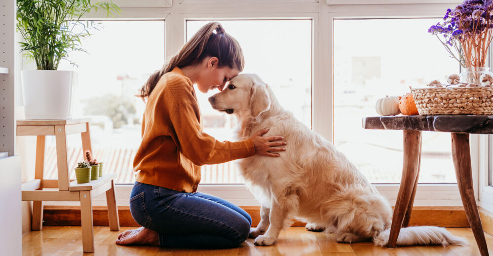 Tener mascota contribuye a la salud mental, genera vínculos emocionales