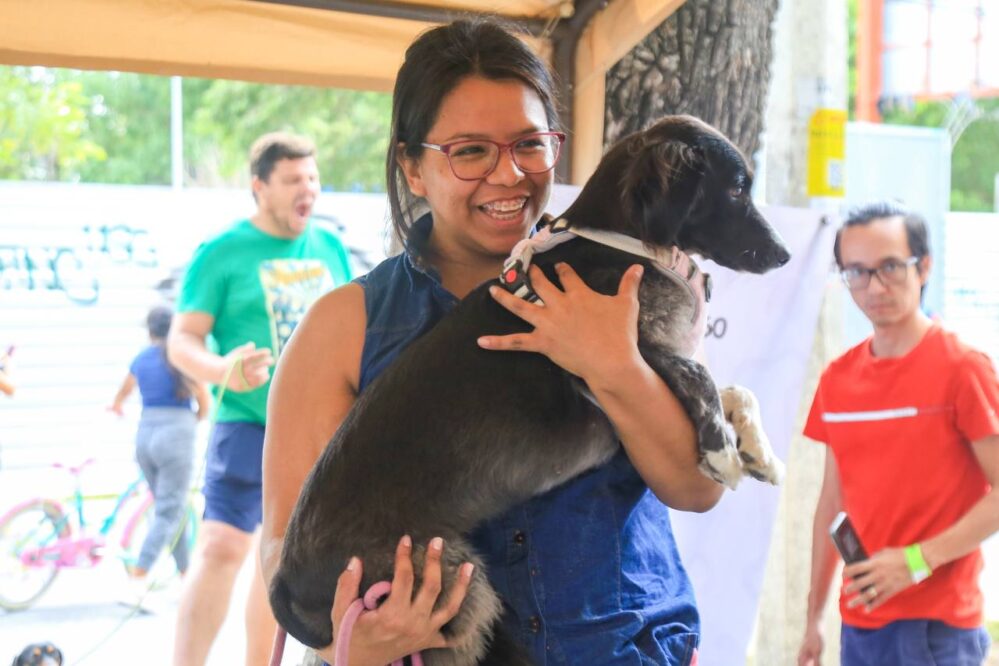 Lomitos: ‘Pasitos con Causa’ impulsa convivencia Pet Friendly y solidaridad canina