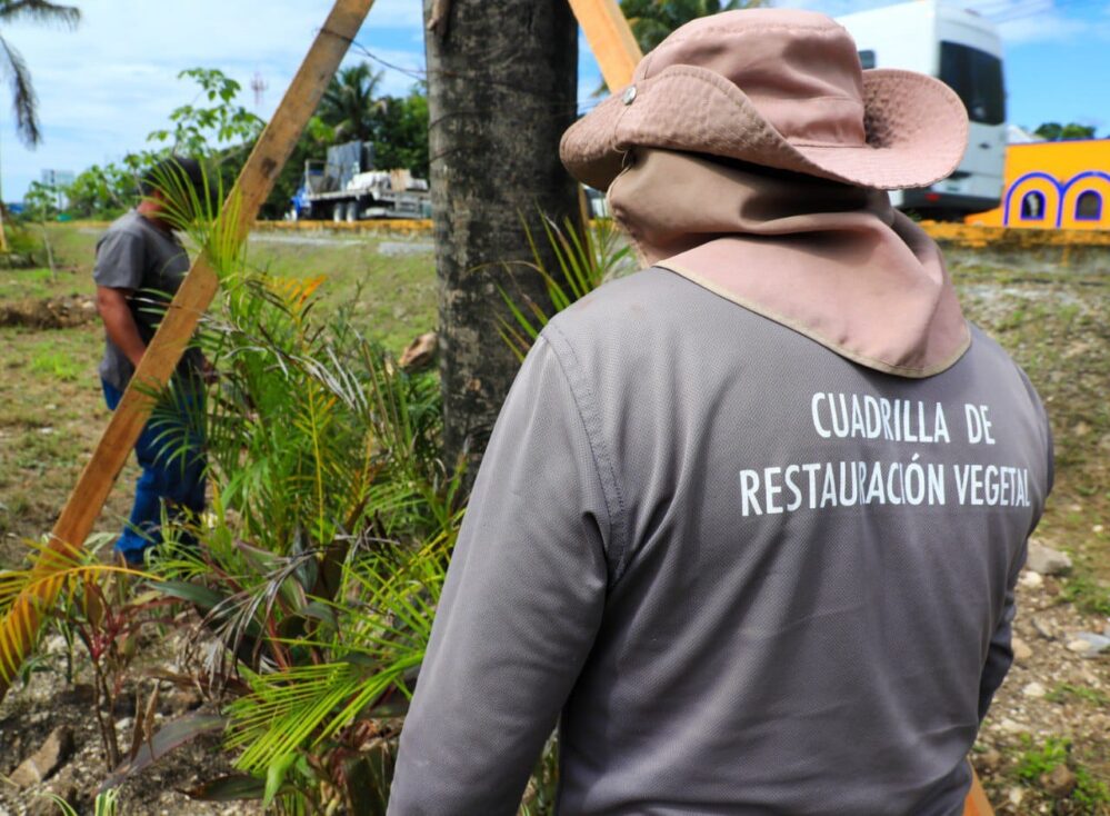 Playa del Carmen: Un 2023 protegiendo el medio ambiente en Solidaridad