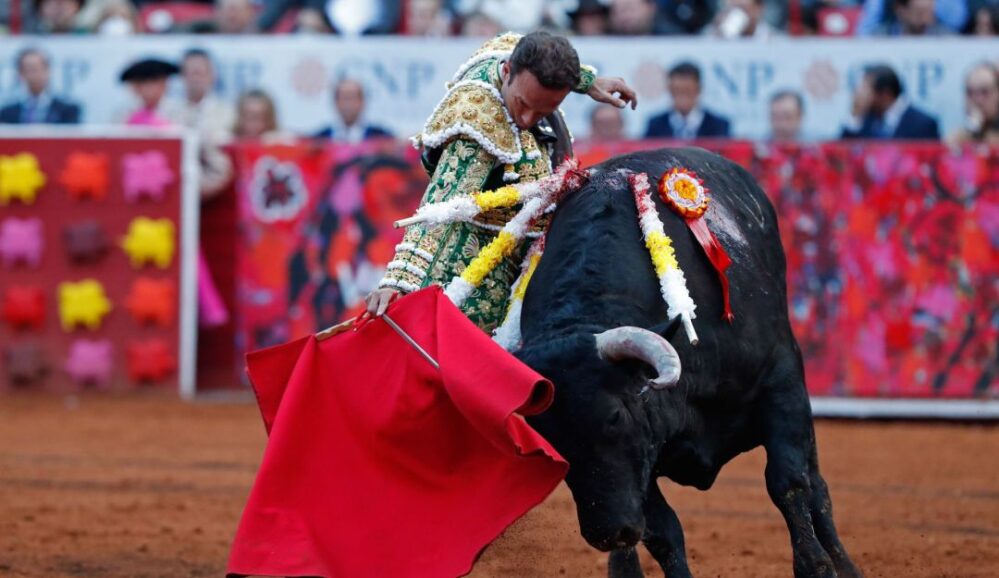 Regresa la fiesta brava, SCJN autoriza reanudar corridas de toros en la Plaza México