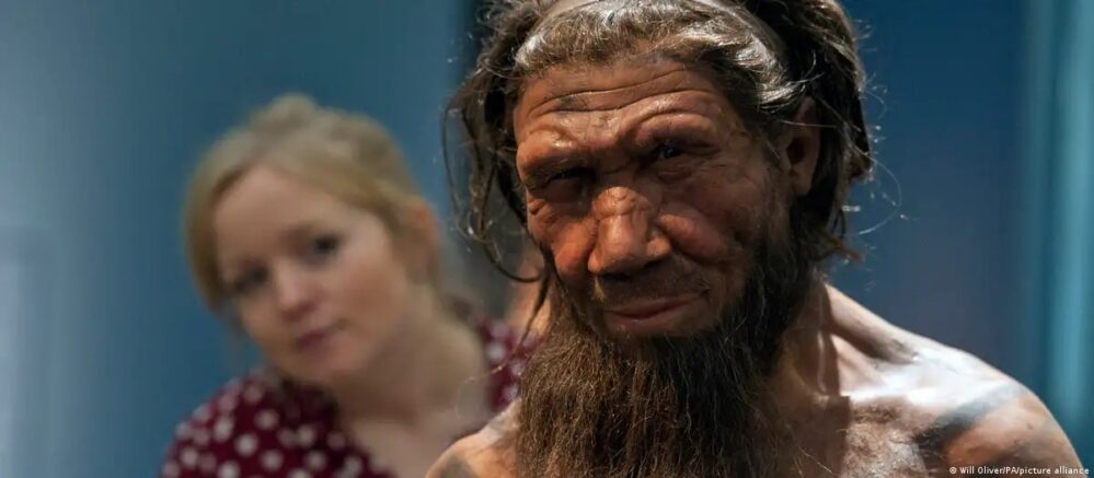 ¿Eres madrugador? Científicos creen que es una ventaja evolutiva neandertal