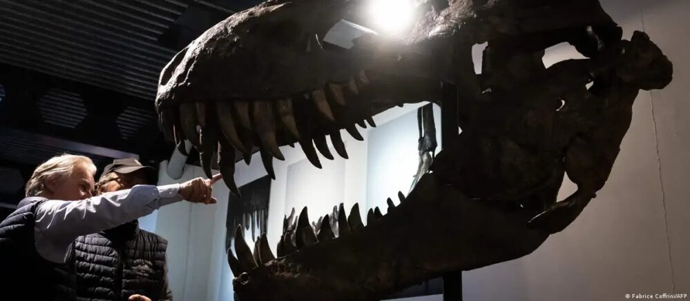 Descubren el Tyrannosaurus mcraeensis, una especie antes del famoso T. Rex