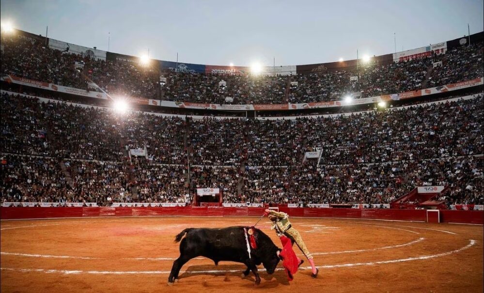 De nuevo suspenden las corridas de toros en la Plaza México con un amparo