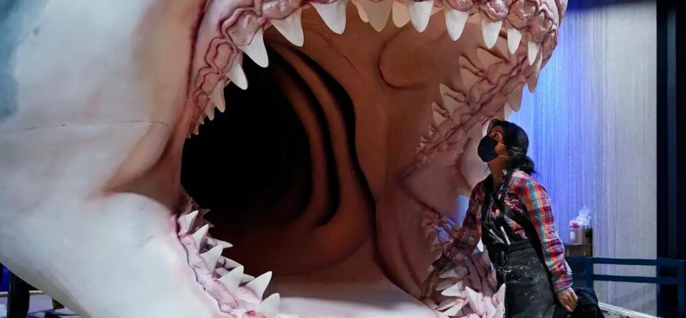Nuevo estudio destroza el mito del megalodón; el «tiburón gigante»