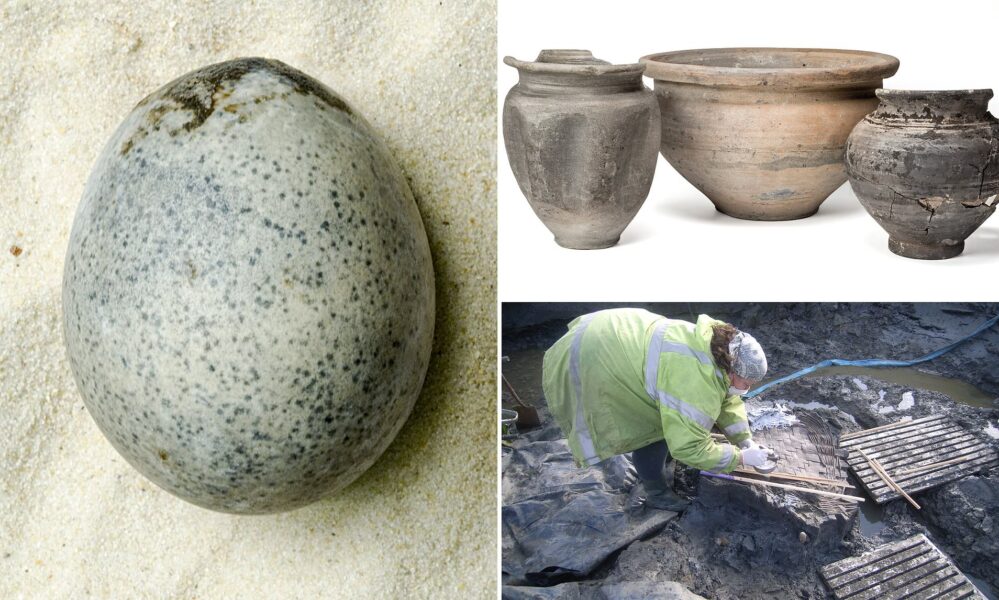 Descubren huevo que conserva su relleno después de 1700 años, un hallazgo único en el mundo