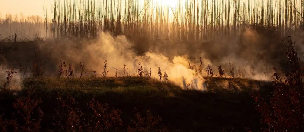 ¿Qué son los ‘incendios zombi’ que afectan a Canadá y Alaska?