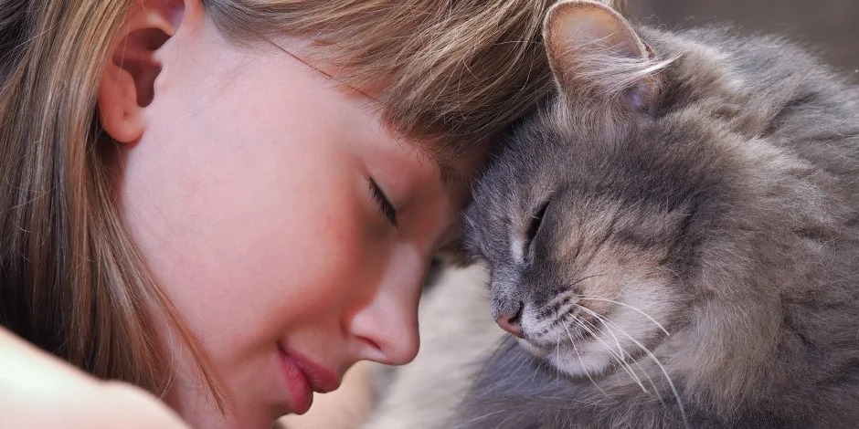 Cinco formas de demostrarle tu cariño a tu gato, descubre el lenguaje de los michis