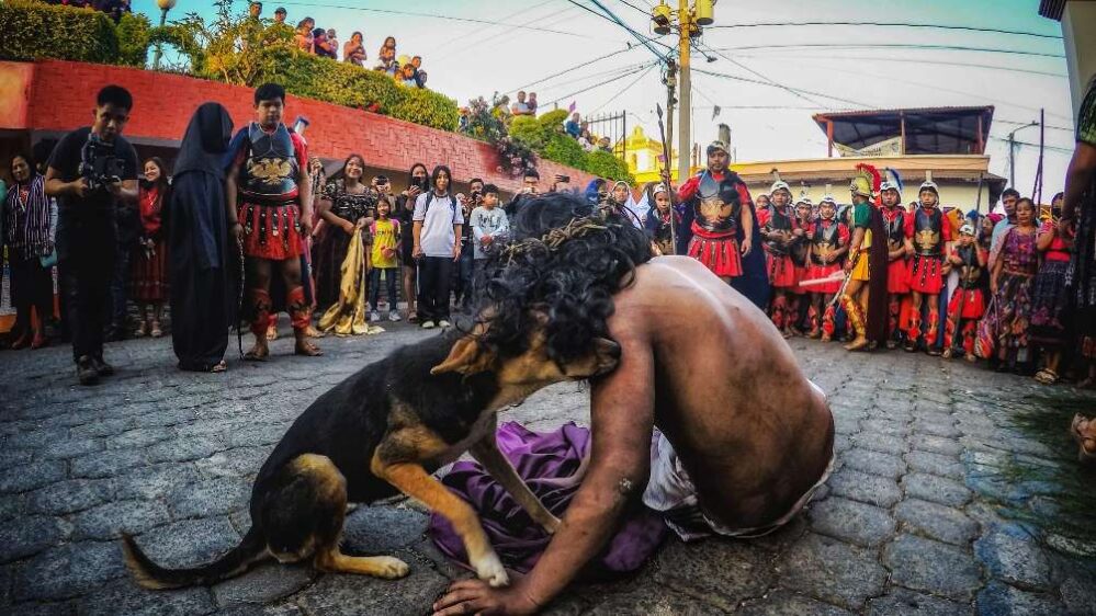 Emotiva escena: Perrito en la calle consuela a Jesús en un viacrucis en Guatemala