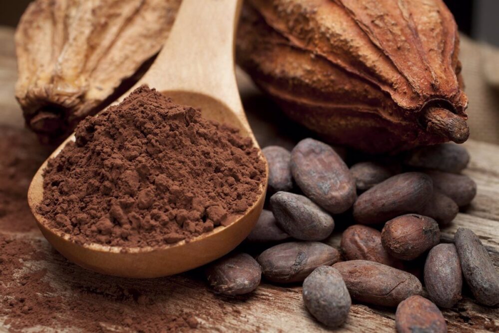 El cacao se originó en Sudamérica y no en México, revela nuevo estudio