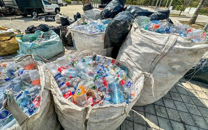 Este viernes 3 de mayo habrá «Reciclatón» en Playa del Carmen