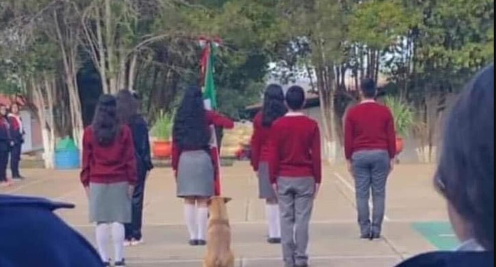 ¡Emotiva historia! Escuela adopta al perrito que se robó el corazón marchando con la escolta escolar