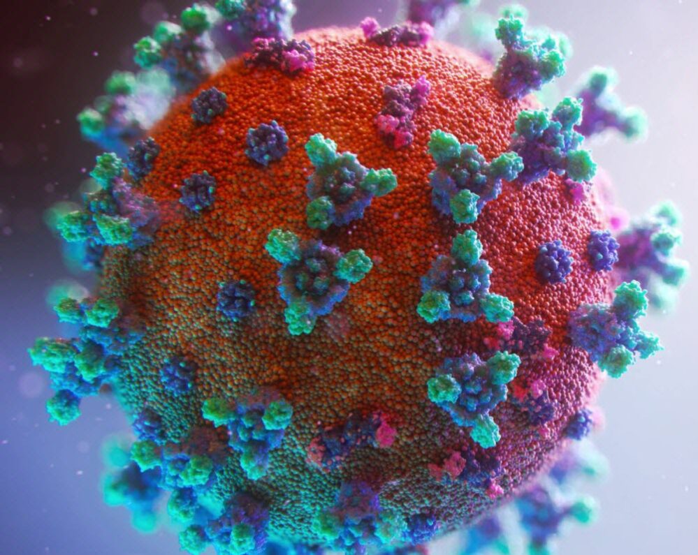 ¡Alerta mundial! Científicos Chinos desarrollan virus mutante del Ébola: Experimentos letales y posible amenaza pandémica