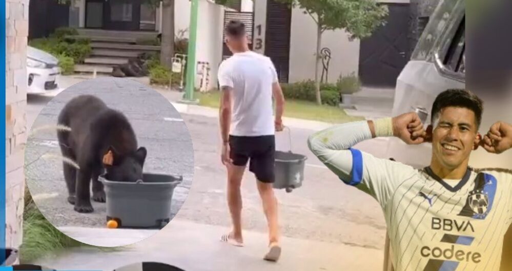 VIDEO: El jugador Maxi Meza les da agua a los osos afuera de su casa ante ola de intenso calor