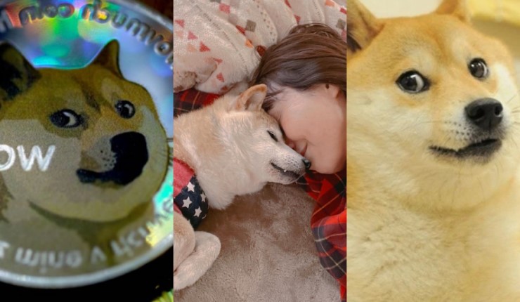 ¡Vuela alto Kabosu! Fallece el perrito rostro de la criptomoneda Dogecoin