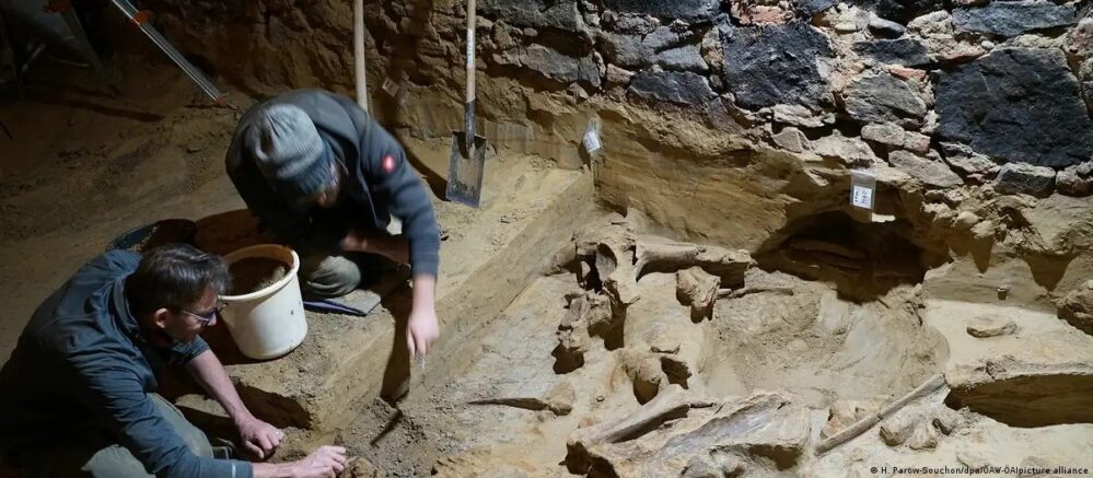 Un hombre encuentra esqueletos de mamut en su bodega de vinos