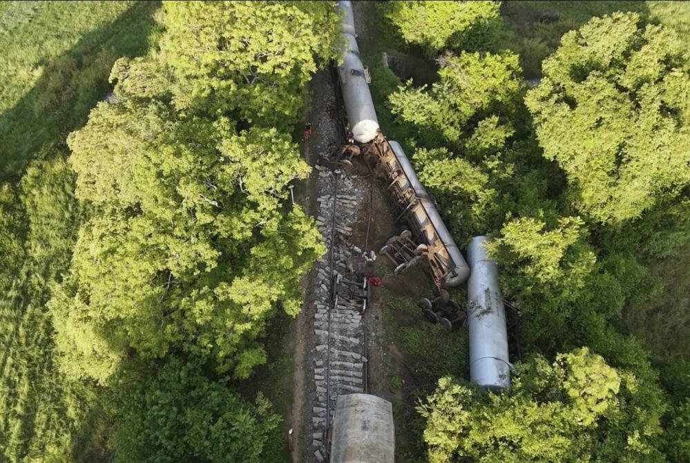 Dos elefantes mueren al ser embestidos por un tren en Sri Lanka