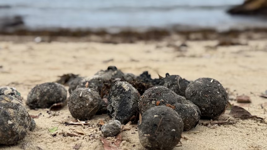 Extrañas bolas negras aparecen en las playas de Australia