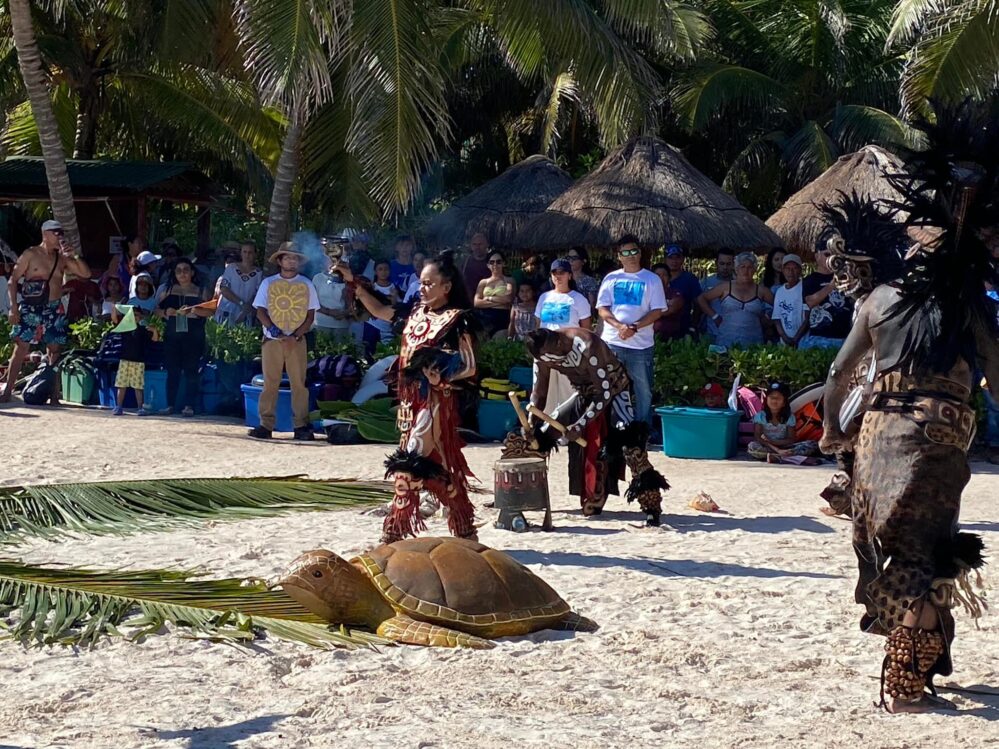 XXII Festival de la Tortuga Marina en Tulum el 25, 26 y 27 de octubre