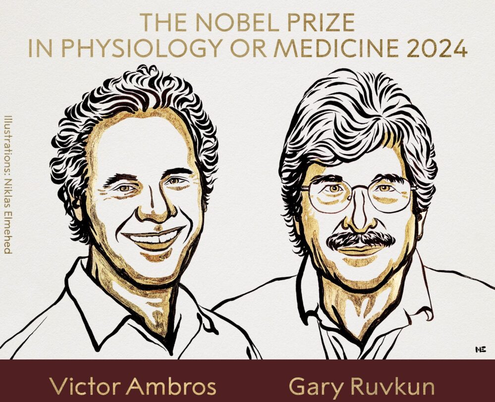 Victor Ambros y Gary Ruvkun ganan Premio Nobel de Medicina 2024