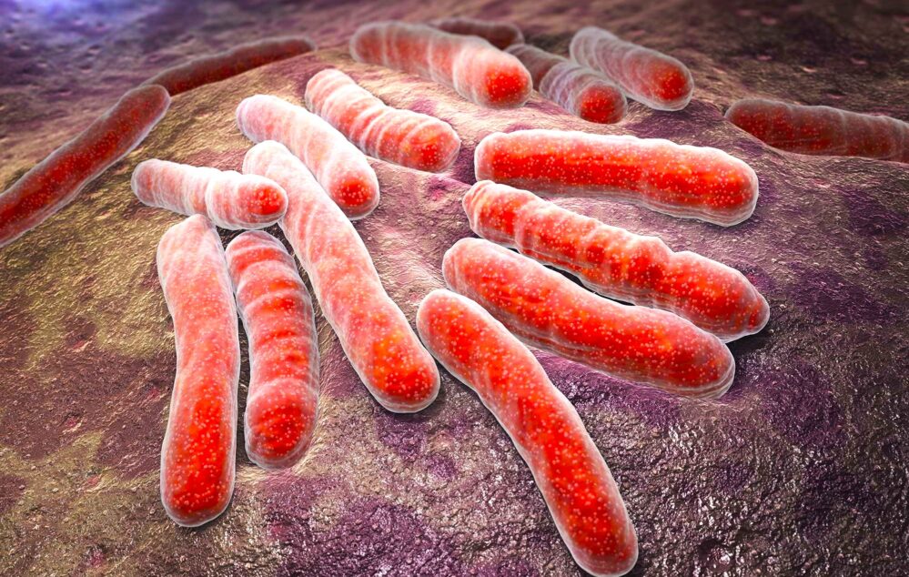 Estas son las ocho bacterias más peligrosas del mundo